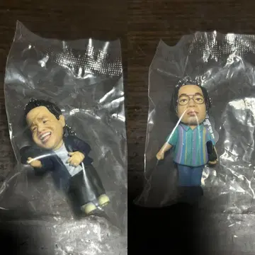 다이앤 캡슐 토이