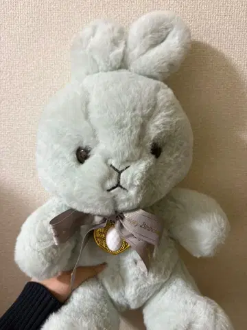 해피 벌스데이 컬러 파스텔 토끼 그레이 6월