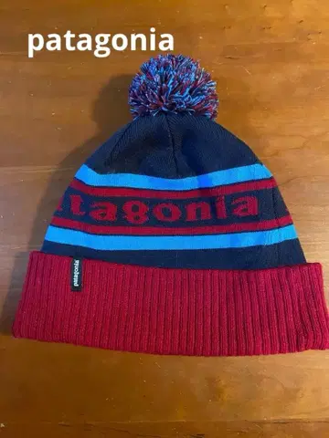 Patagonia 로고 니트 모자