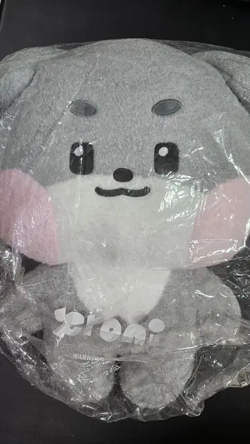 ZEROBASEONE ZERONI 플랫 봉제 인형 건욱 거니니 ZB1