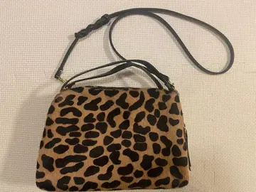 GIANNI CHIARINI 송치 지아니카리니