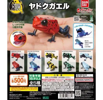 BANDAI 생물대도감 쁘띠 독개구리 캡슐 토이 컴플리트