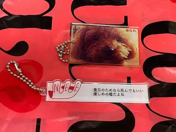 NEE aLaLe 아라레 키링 가사