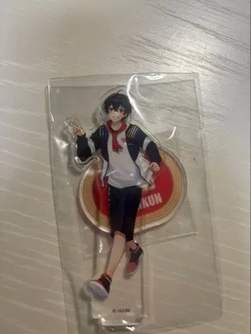 컬러풀 피치 유안 아크릴 스탠드 카드 세트