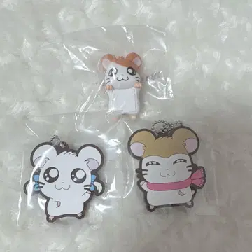 두근두근 비밀친구 제일복권