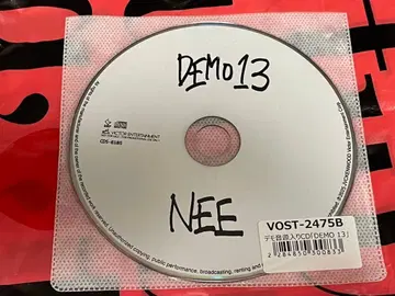 NEE 재생 가능 DEMO13