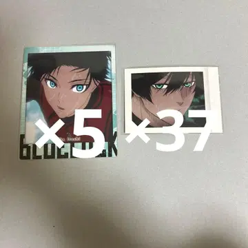 이토시 린 파샤코레