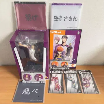 하이큐!! 우시지마 와카토시 피규어 세트