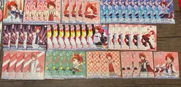 스토푸리 리이누군 바이스 52장 세트