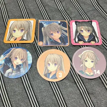 아오카나 포리즘 아리사카 마시로 코스터