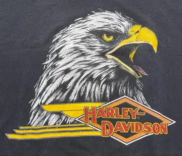 Harley-Davidson 독수리 그래픽 80s 티셔츠