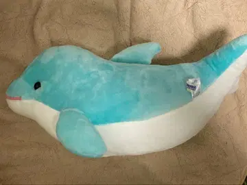 카모가와 씨월드 돌고래 봉제 인형 스카이블루