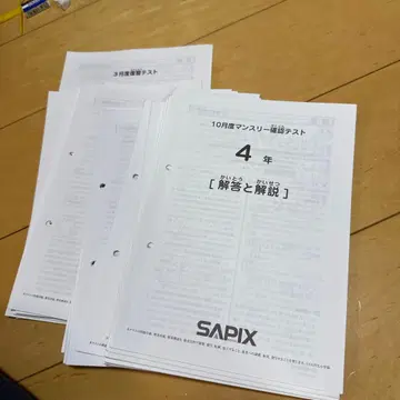 SAPIX 확인 테스트 모음 4년