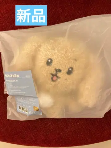 SEVENTEEN MINITEEN DOA 봉제 인형 플러시 토이