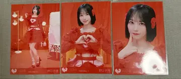 노구치 이오리 특별 브로마이드 컴프