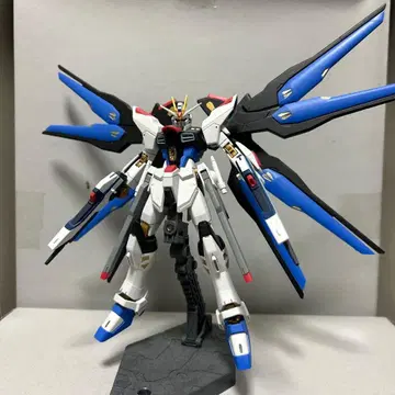 HG 스트라이크 프리덤 건담