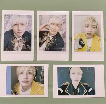 팬더드래곤 요우타 폴라로이드 하피카