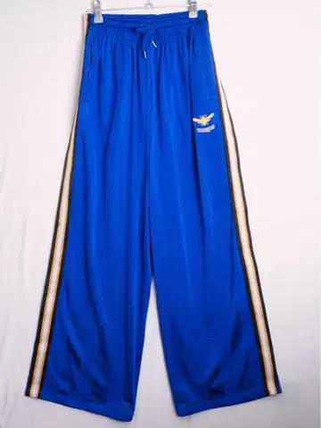 wasps 저지 팬츠 이기나리 도호쿠산 후지타니 미우 착용