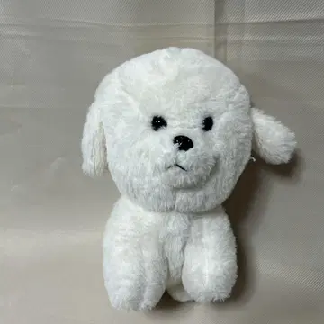 13. 봉제 인형 외로움을 타는 비숑 프리제