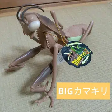 BIG 사마귀 피규어
