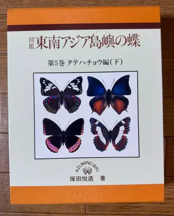 동남아시아 도서 나비 제5권 타테하초 편(하)
