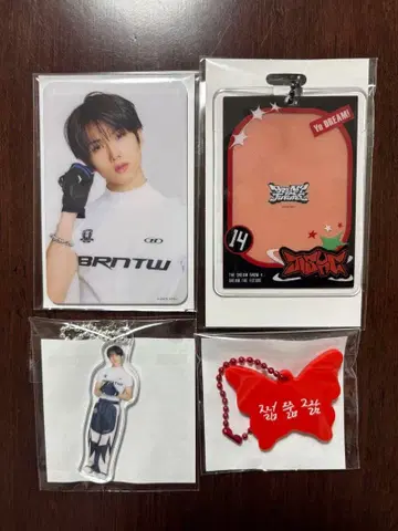 NCT DREAM 드림쇼4 랜덤 토이 지성