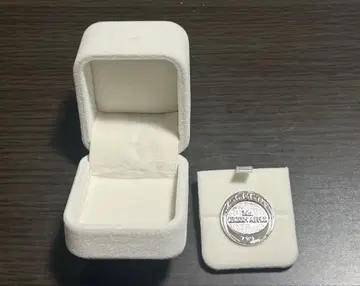 미세스 황지 핀즈 & 보석 상자 inspired by '뉴 마이 노멀'