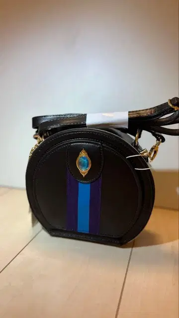 엘사 치하루 시마무라 디즈니 라운드 백