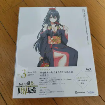 흔해빠진 직업으로 세계 최강 Blu-ray BOX 3