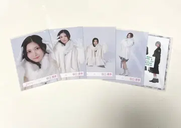 겨울 의류 타니구치 아이리