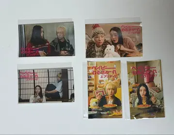 베이비 와루큐레 에브리데이! 스티커 묶음 판매