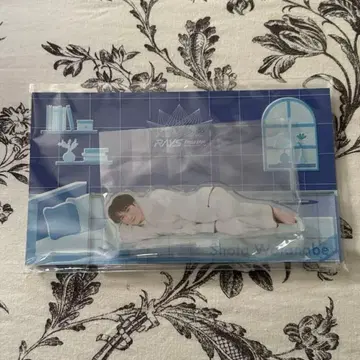 와타나베 쇼타 RAYS 아크릴 스탠드