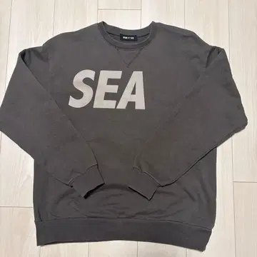 WIND AND SEA 로고 크루넥 브라운 L 사이즈