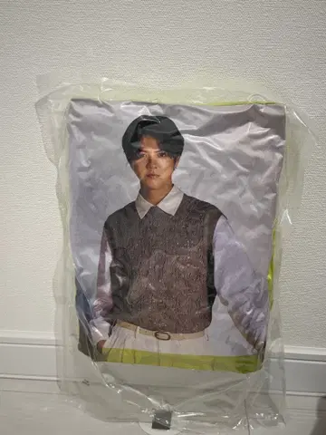 카타요세 료타 쿠션