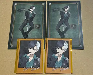 WIND BREAKER 윈브레 로프트 벚꽃 혜택 엽서 사진