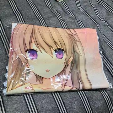 아오노 카나타노 포리듬 아리사카 마시로 태피스트리