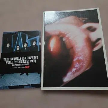 THEE MICHELLE GUN ELEPHANT 팜플렛 엽서