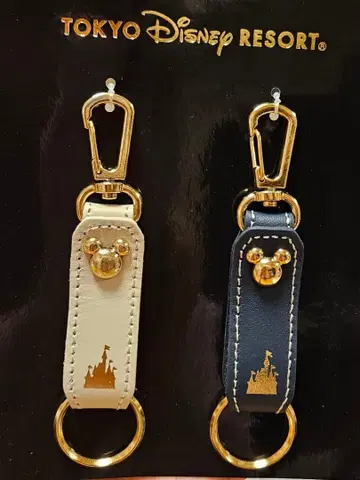 TOKYO DISNEY RESORT 키링 2개 세트