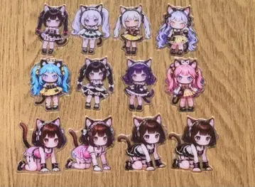 DORA 아크릴 6cm 12개 세트