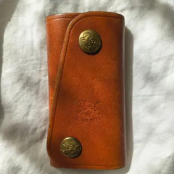 일비종떼 키케이스