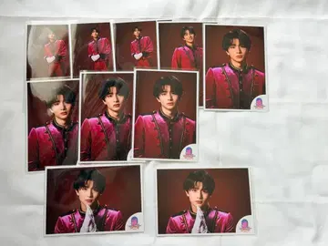 초특급 하루 에비라이 2025 10장 세트