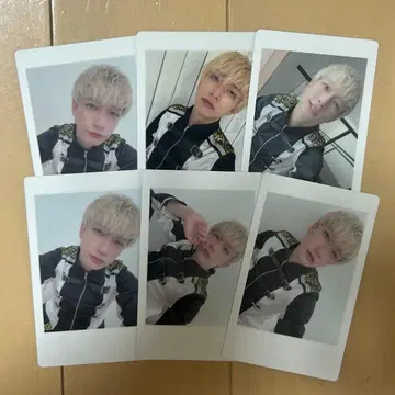 팬더 드래곤 파라곤 하피카 요우타