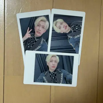 팬더 드래곤 파라곤 하피카 요우타