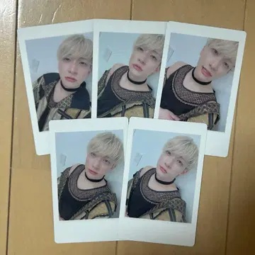 팬더 드래곤 파라곤 하피카 요우타