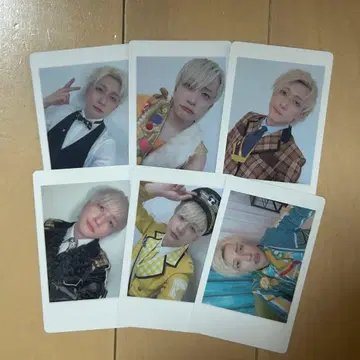 팬더드래곤 파라곤 하피카 요우타