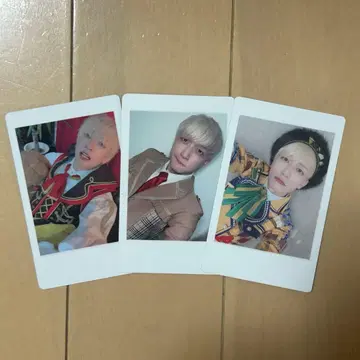 팬더 드래곤 파라곤 하피카 요우타