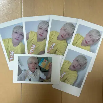 팬더드래곤 파라곤 하피카 요우타