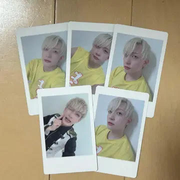 팬더 드래곤 파라곤 하피카 요우타