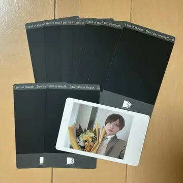 팬더드래곤 파라곤 하피카 요우타