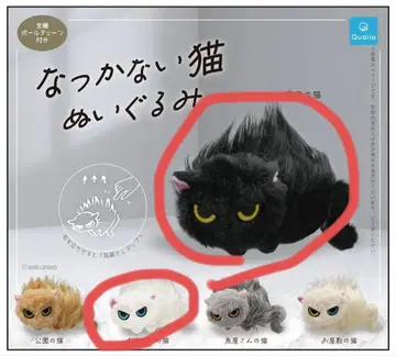 길들이지 않는 고양이 봉제 인형 가챠가챠 본가 고양이 집주인 고양이